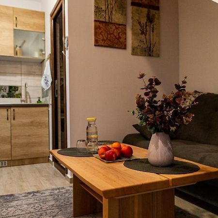Studio Aries Postavarului Brasov Luaran gambar